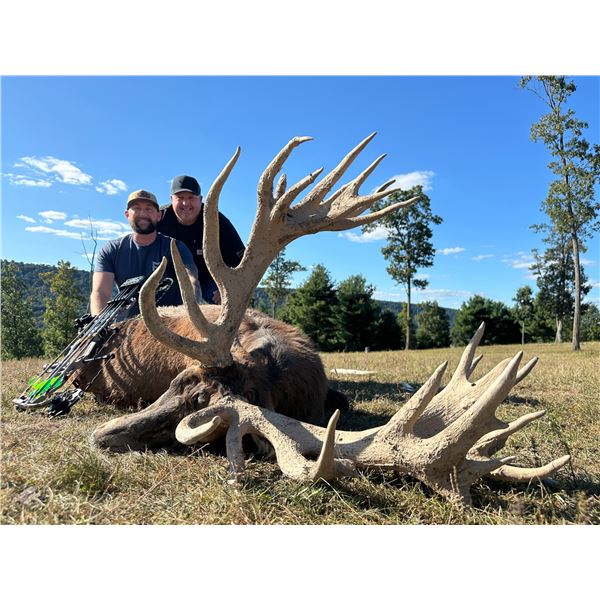 BIG 5 LODGE: 3-Day, 2-Night Trophy Red Deer Stag Hunt for One Hunter in PA