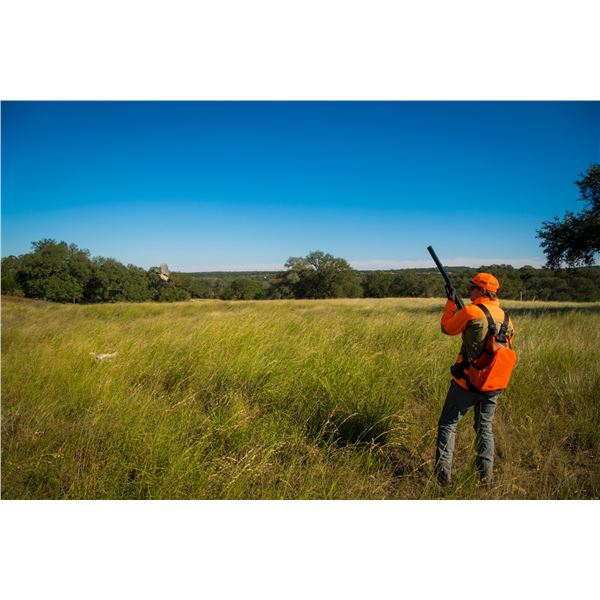 JOSHUA CREEK RANCH: 3-Day, 2-Night Texas Upland & Driven Wingshooting Package for Four Hunters