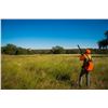 Image 1 : JOSHUA CREEK RANCH: 3-Day, 2-Night Texas Upland & Driven Wingshooting Package for Four Hunters