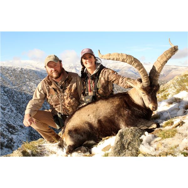 ATP HUNT: Exclusive Spain Hunting and Culture Experience