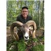 Image 2 : SAFARI INTERNATIONAL MACEDONIA: 5-Day Mountain Hunt for Fallow Buck and Mouflon Ram in Macedonia's W