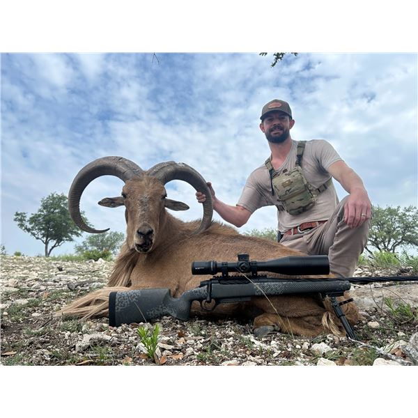 TEXAS HUNT LODGE: 3-Day Hunt for Two Hunters in Texas for Trophy Aoudad, Trophy Blackbuck or Trophy