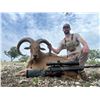 Image 1 : TEXAS HUNT LODGE: 3-Day Hunt for Two Hunters in Texas for Trophy Aoudad, Trophy Blackbuck or Trophy