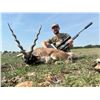 Image 2 : TEXAS HUNT LODGE: 3-Day Hunt for Two Hunters in Texas for Trophy Aoudad, Trophy Blackbuck or Trophy