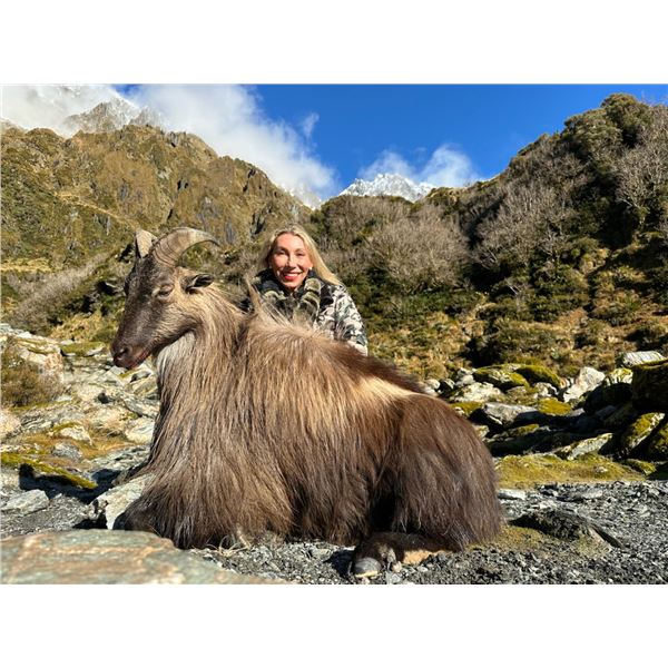 FOUR SEASONS SAFARIS NEW ZEALAND: 5-Day New Zealand Hunt for Two Hunters in Pursuit of Red Stag, Alp