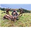 Image 2 : FOUR SEASONS SAFARIS NEW ZEALAND: 5-Day New Zealand Hunt for Two Hunters in Pursuit of Red Stag, Alp