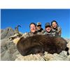 Image 6 : FOUR SEASONS SAFARIS NEW ZEALAND: 5-Day New Zealand Hunt for Two Hunters in Pursuit of Red Stag, Alp