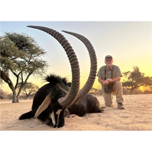 QUAGGA SAFARIS: 7-Day Sable Safari for One Hunter Including Trophy Fees for One Trophy Sable Bull (u