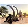 Image 1 : QUAGGA SAFARIS: 7-Day Sable Safari for One Hunter Including Trophy Fees for One Trophy Sable Bull (u