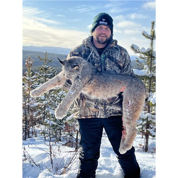 DB OUTFITTING: 5 Days, 6 Nights, Canadian Lynx Hunt for One Hunter