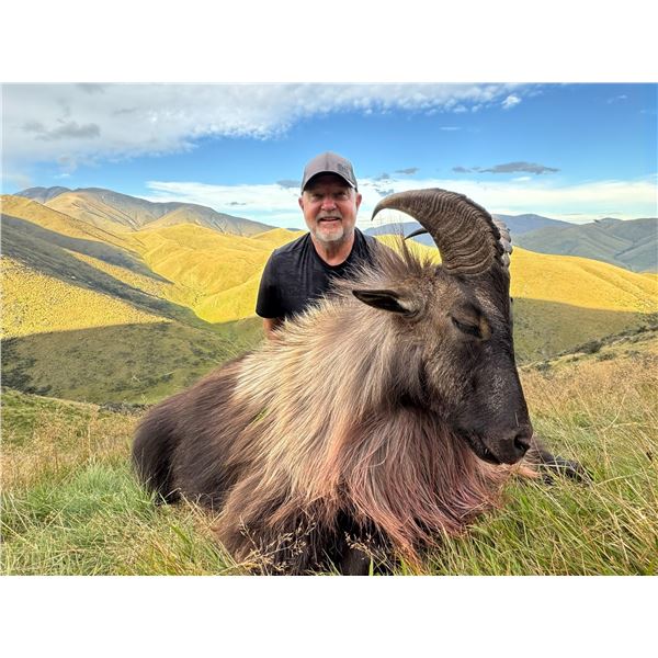 NEW ZEALAND HUNTING ADVENTURES: 5-Day, 4-Night for One Hunter and One Observer for 100% Free Range T