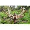 Image 2 : WANGANUI SAFARIS: 10-Day Premier Big Game Hunting, World-Class Fly Fishing, and Iconic Cultural Tour