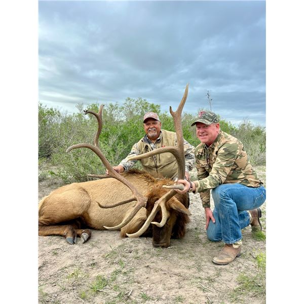 DEA RANCH: Texas 3-Day Trophy Bull Elk Hunt for One Hunter and One Observer