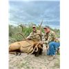 Image 1 : DEA RANCH: Texas 3-Day Trophy Bull Elk Hunt for One Hunter and One Observer