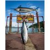 Image 2 : TROPIC STAR LODGE - PANAMA:  4-Days/5-Night Panama Fishing Package for Two Anglers Aboard a Classic 