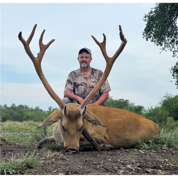 RECORDBUCK RANCH: Texas Trophy Barasingha Bull Hunt for One Hunter and One Observer