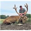 Image 2 : RECORDBUCK RANCH: Texas Trophy Barasingha Bull Hunt for One Hunter and One Observer