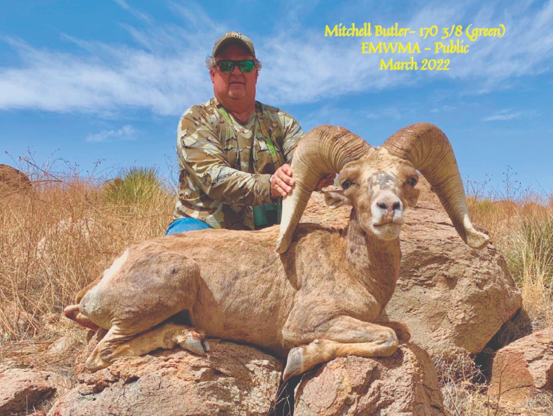 TEXAS PARKS AND WILDLIFE DEPARTMENT: Exclusive TPWD Desert Bighorn ...