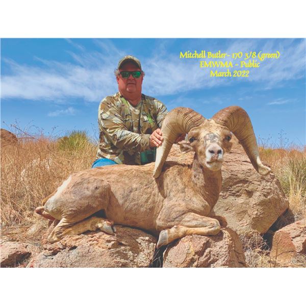 TEXAS PARKS AND WILDLIFE DEPARTMENT: Exclusive TPWD Desert Bighorn Sheep Permit