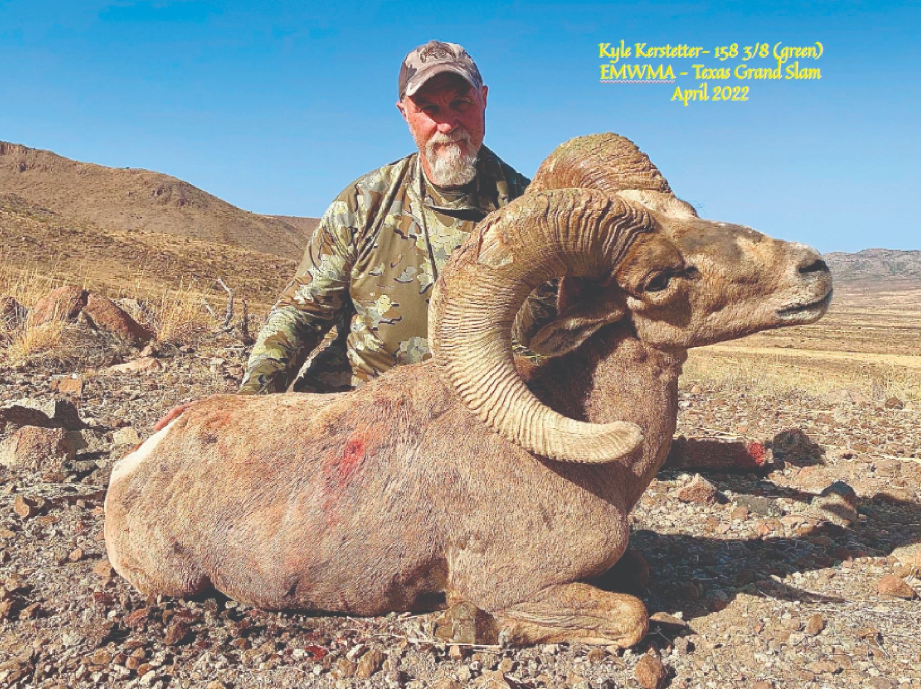 TEXAS PARKS AND WILDLIFE DEPARTMENT: Exclusive TPWD Desert Bighorn ...