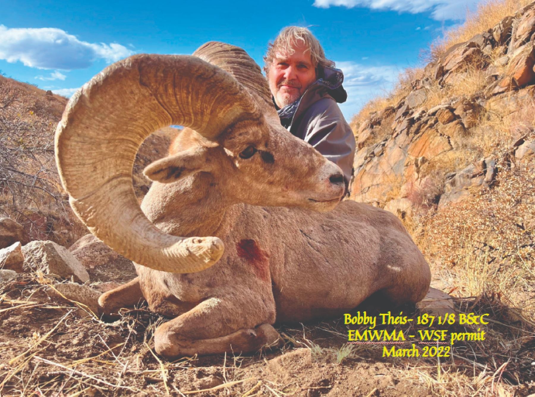 TEXAS PARKS AND WILDLIFE DEPARTMENT: Exclusive TPWD Desert Bighorn ...