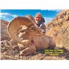 Image 3 : TEXAS PARKS AND WILDLIFE DEPARTMENT: Exclusive TPWD Desert Bighorn Sheep Permit