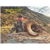 Image 4 : TEXAS PARKS AND WILDLIFE DEPARTMENT: Exclusive TPWD Desert Bighorn Sheep Permit