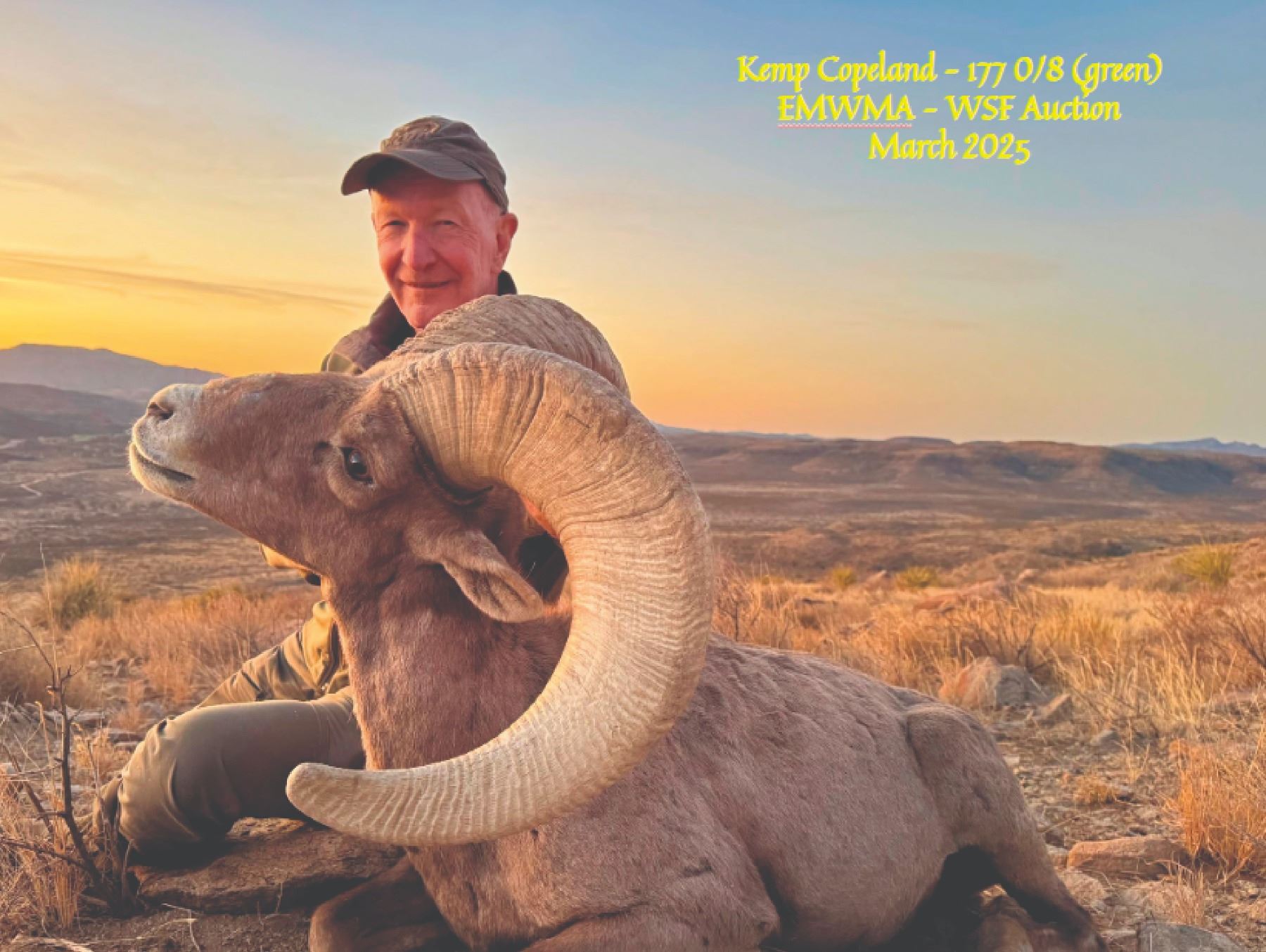 TEXAS PARKS AND WILDLIFE DEPARTMENT: Exclusive TPWD Desert Bighorn ...