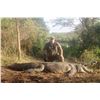 Image 2 : THABA MMOYO SAFARIS: 5-Day, 1:1 Crocodile Hunt in Zimbabwe