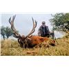 Image 9 : POITAHUE HUNTING RANCH: 6-Day Argentina Red Deer Hunt for Two