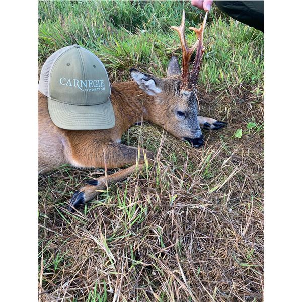 CARNEGIE SPORTING: 5-Day, 6-Night trip to England for a Historic Experience Tour and Sporting Advent