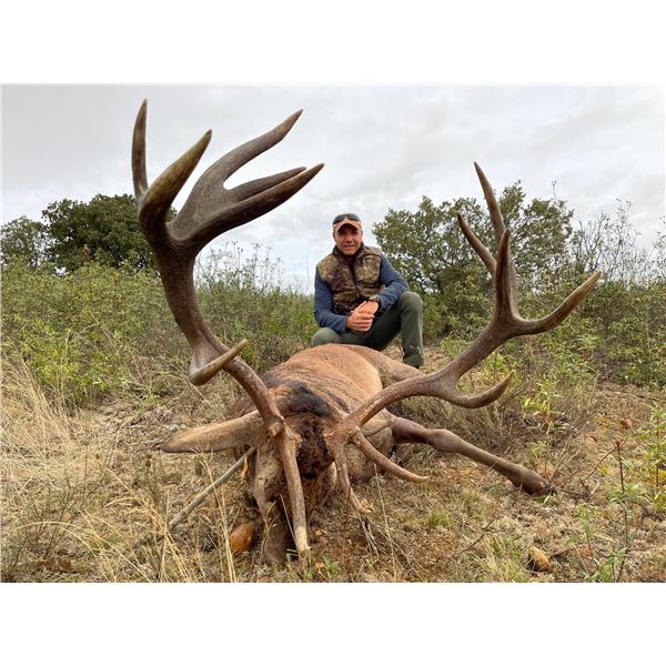 SPAIN SAFARIS: Free Range Iberian Red Stag Hunt for Two Hunters in Spain