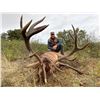 Image 1 : SPAIN SAFARIS: Free Range Iberian Red Stag Hunt for Two Hunters in Spain
