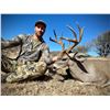 Image 1 : DIAMOND OUTFITTERS: 5-Day Coues Deer Hunt For Two Hunters (with Free Mountain Lion Bonus) in Arizona
