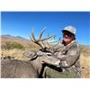 Image 2 : DIAMOND OUTFITTERS: 5-Day Coues Deer Hunt For Two Hunters (with Free Mountain Lion Bonus) in Arizona