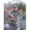 Image 4 : DIAMOND OUTFITTERS: 5-Day Coues Deer Hunt For Two Hunters (with Free Mountain Lion Bonus) in Arizona