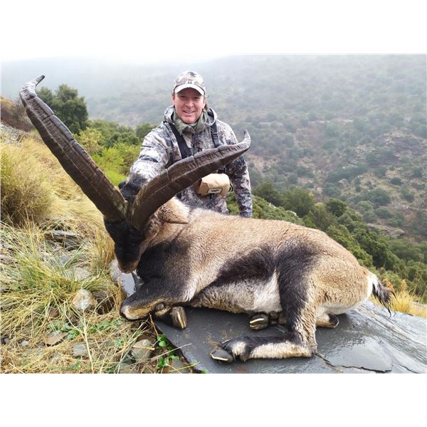 SPANISHIBEXHUNTS: 5-Day Ibex Hunt for Two Hunters and Two Observers in Spain