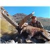 Image 2 : SPANISHIBEXHUNTS: 5-Day Ibex Hunt for Two Hunters and Two Observers in Spain