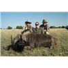 Image 2 : JOHAN HERMANN SAFARIS: 7-Day 6-Nights for Three Hunters and Three Observers in South Africa