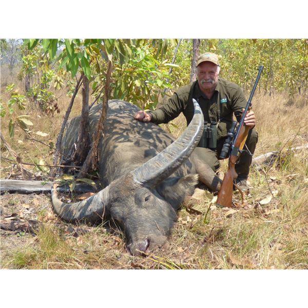 R & R OUTFITTERS AUSTRALIA PTY LTD: Management Buffalo & Trophy Boar Hunt in Australia