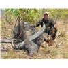 Image 1 : R & R OUTFITTERS AUSTRALIA PTY LTD: Management Buffalo & Trophy Boar Hunt in Australia