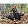 Image 2 : R & R OUTFITTERS AUSTRALIA PTY LTD: Management Buffalo & Trophy Boar Hunt in Australia