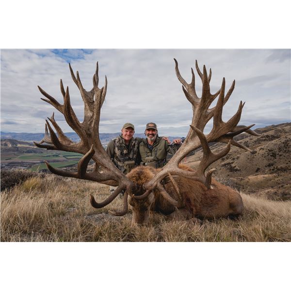 EXCLUSIVE ADVENTURES NEW ZEALAND: 5-Day, 4-Night New Zealand Red Stag Hunt (Up to 400 SCI) for Two H