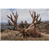 Image 1 : EXCLUSIVE ADVENTURES NEW ZEALAND: 5-Day, 4-Night New Zealand Red Stag Hunt (Up to 400 SCI) for Two H