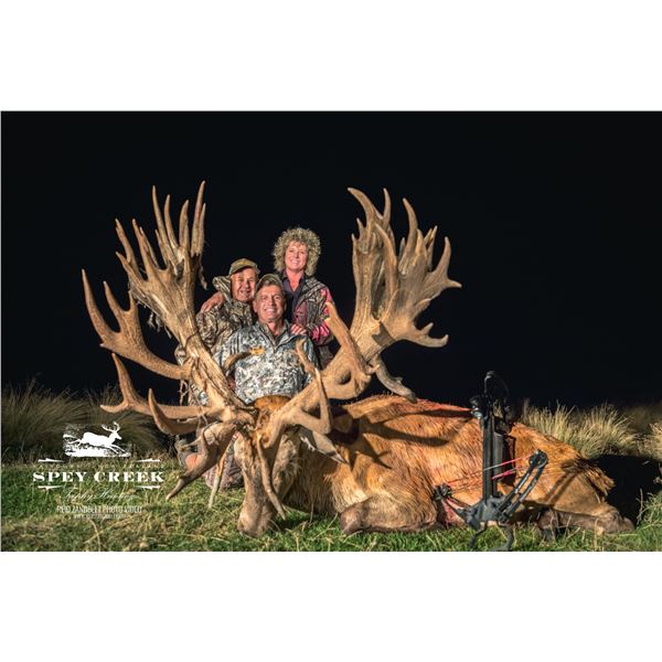 SPEY CREEK TROPHY HUNTING OF NEW ZEALAND: 5-Day Trophy Red Stag Hunt for Two Hunters and Two Observe