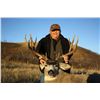 Image 4 : BUCKBRUSH OUTFITTERS: Combination White-Tailed Deer & Mule Deer Combination Archery Hunt in Alberta,