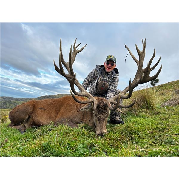 : LOCHINVAR SAFARIS NEW ZEALAND LTD: 5-Day Red Stag Hunt For One Hunter and One Observer in New Zeal