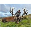 Image 1 : : LOCHINVAR SAFARIS NEW ZEALAND LTD: 5-Day Red Stag Hunt For One Hunter and One Observer in New Zeal