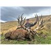 Image 3 : : LOCHINVAR SAFARIS NEW ZEALAND LTD: 5-Day Red Stag Hunt For One Hunter and One Observer in New Zeal