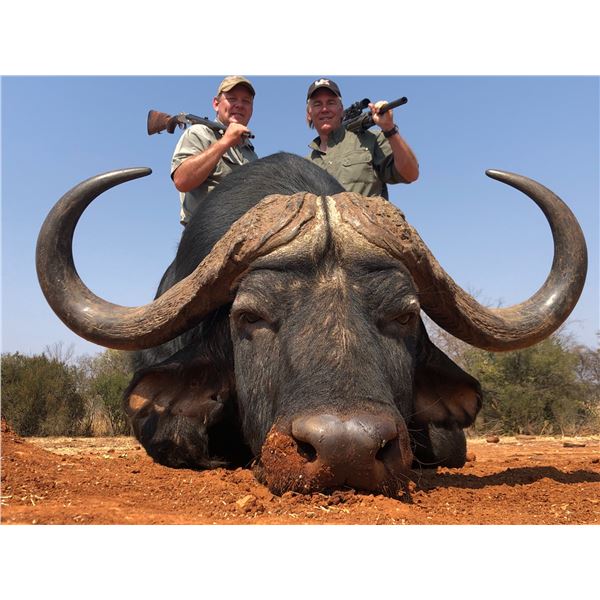 AFRICA MAXIMUM SAFARIS: 8-Hunting Days for Two Hunters for One Cape Buffalo and One Blue Wildebeest 